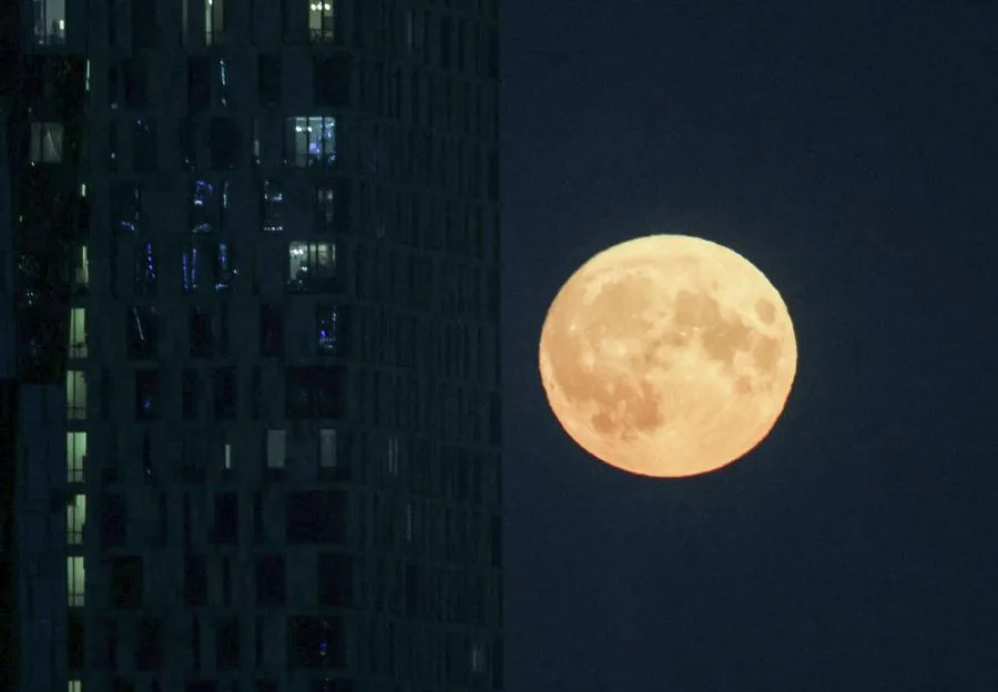 Виталий Белоусов