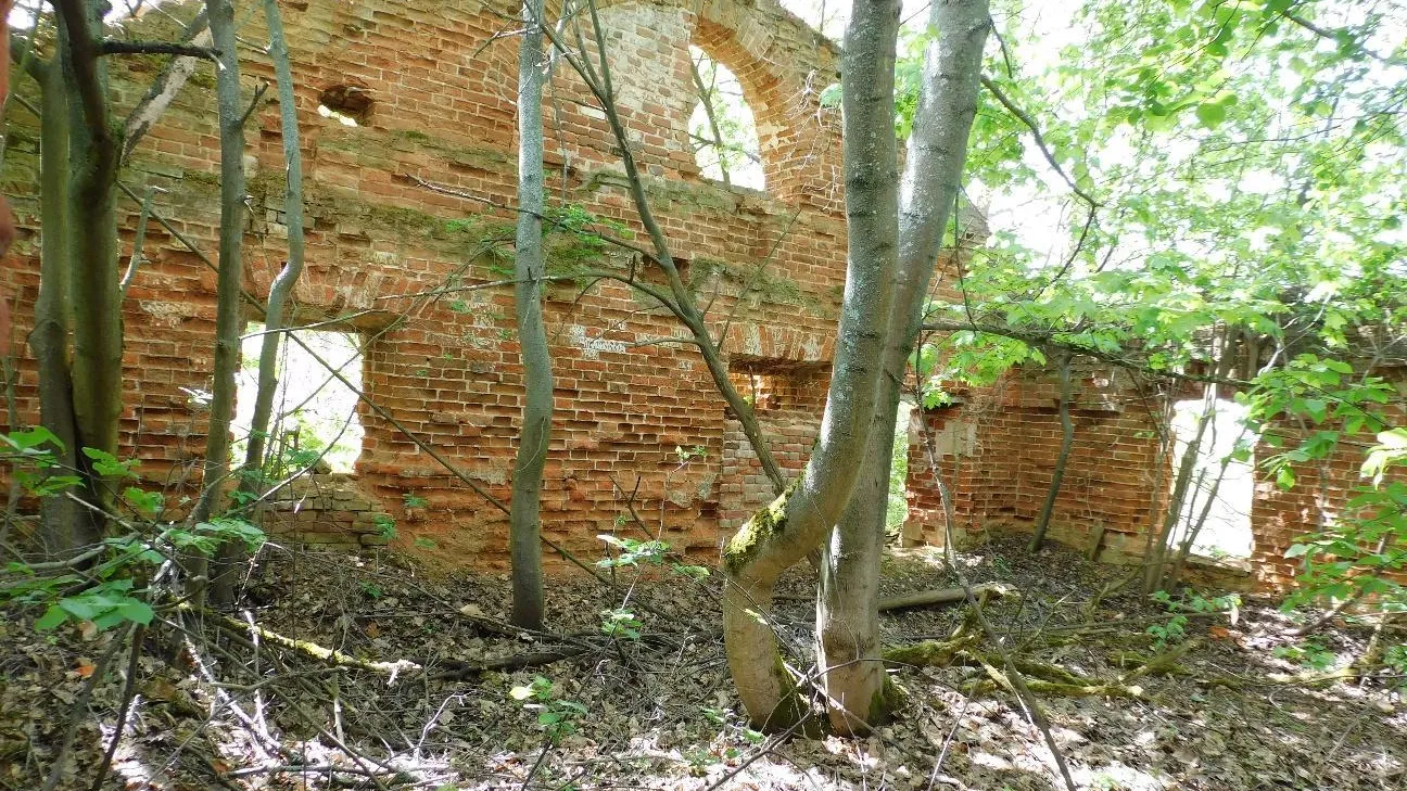 Три усадьбы Подмосковья выставили на конкурс для восстановления инвесторами