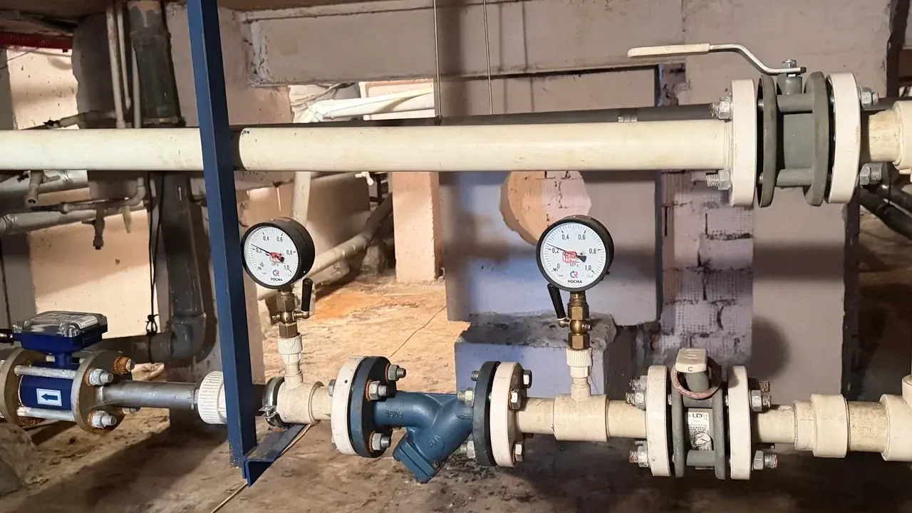 В Подмосковье поделились советами по сбережению воды