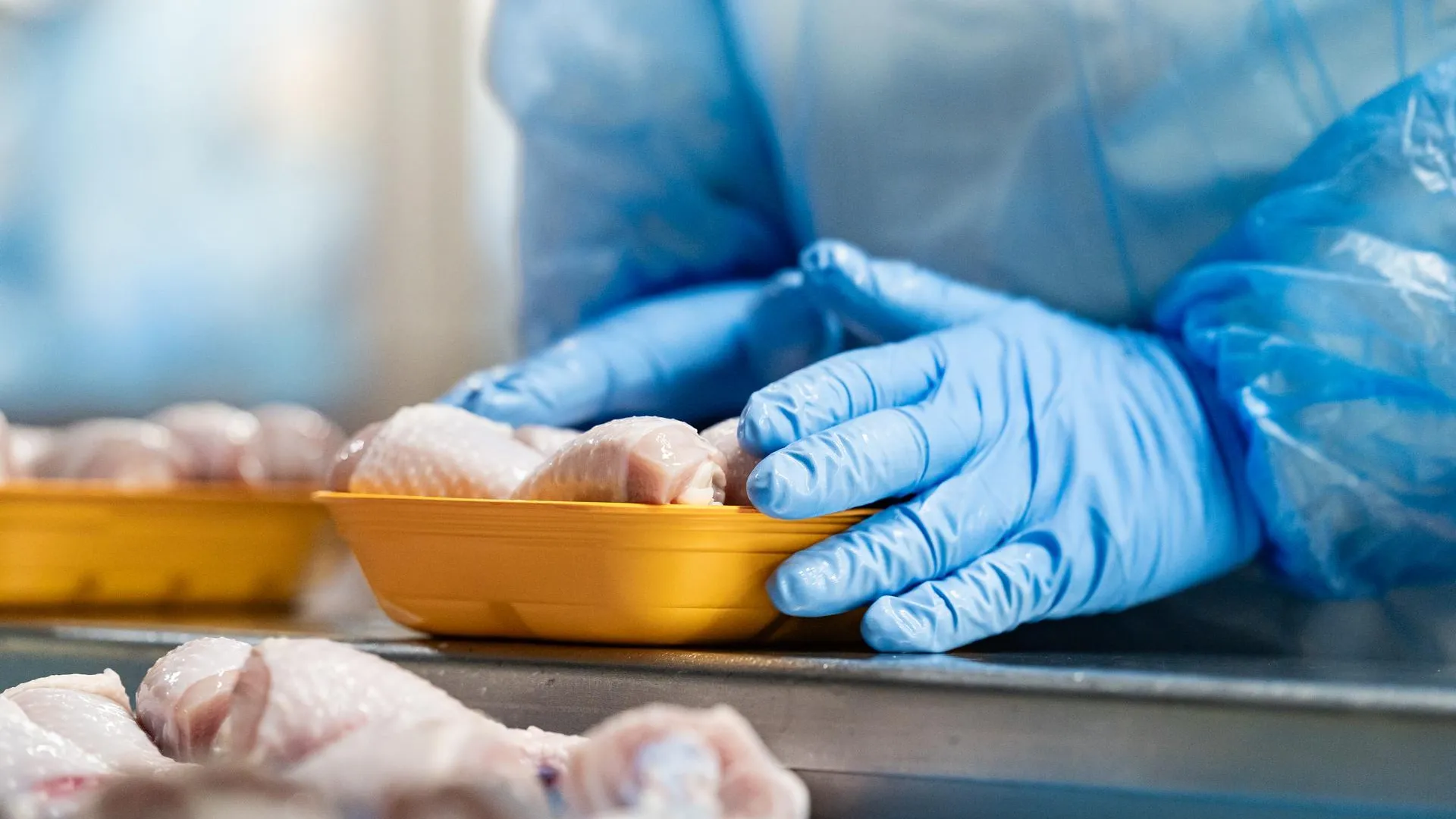 В Подмосковье стартует тестирование маркировки мяса, рыбы и замороженных овощей