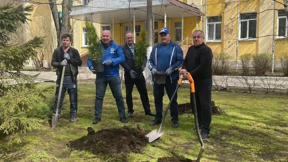 Новые деревья высадили у школы №8 в Мытищах на акции «Лес Победы»
