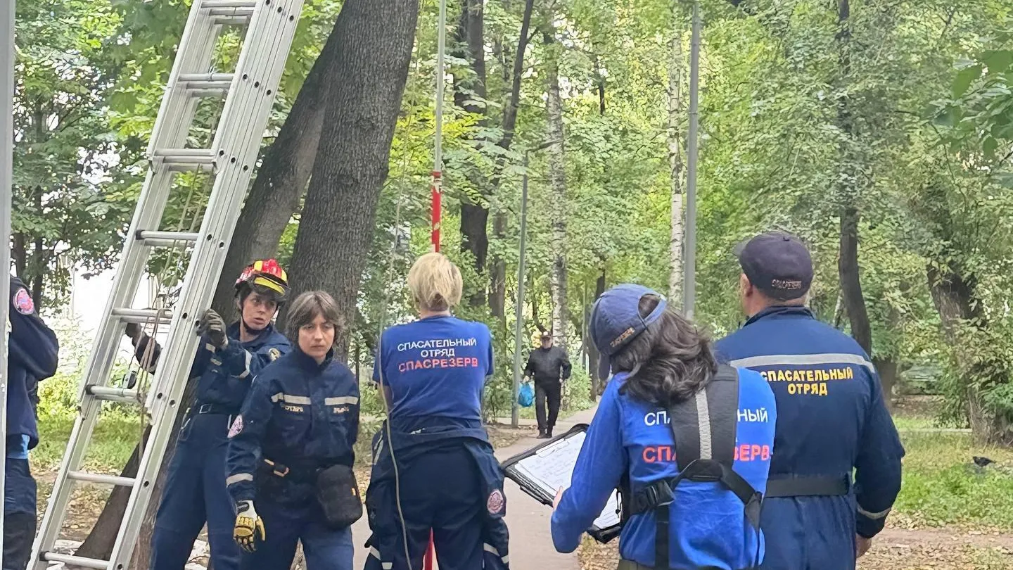 Спасали целой бригадой: на севере Москвы вызволили птицу из ловушки на дереве