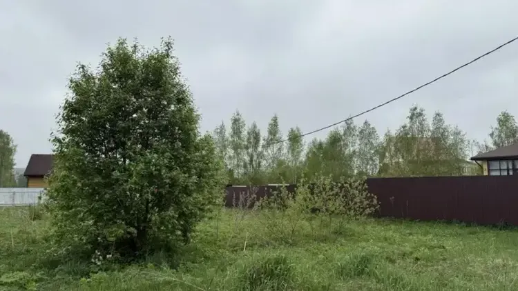 В Подмосковье выставили на торги 142 объекта в начале июня