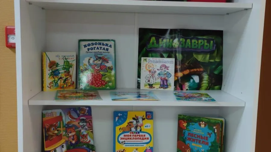 В МФЦ Красногорска можно оставить уже прочитанные книги на стеллаже буккроссинга