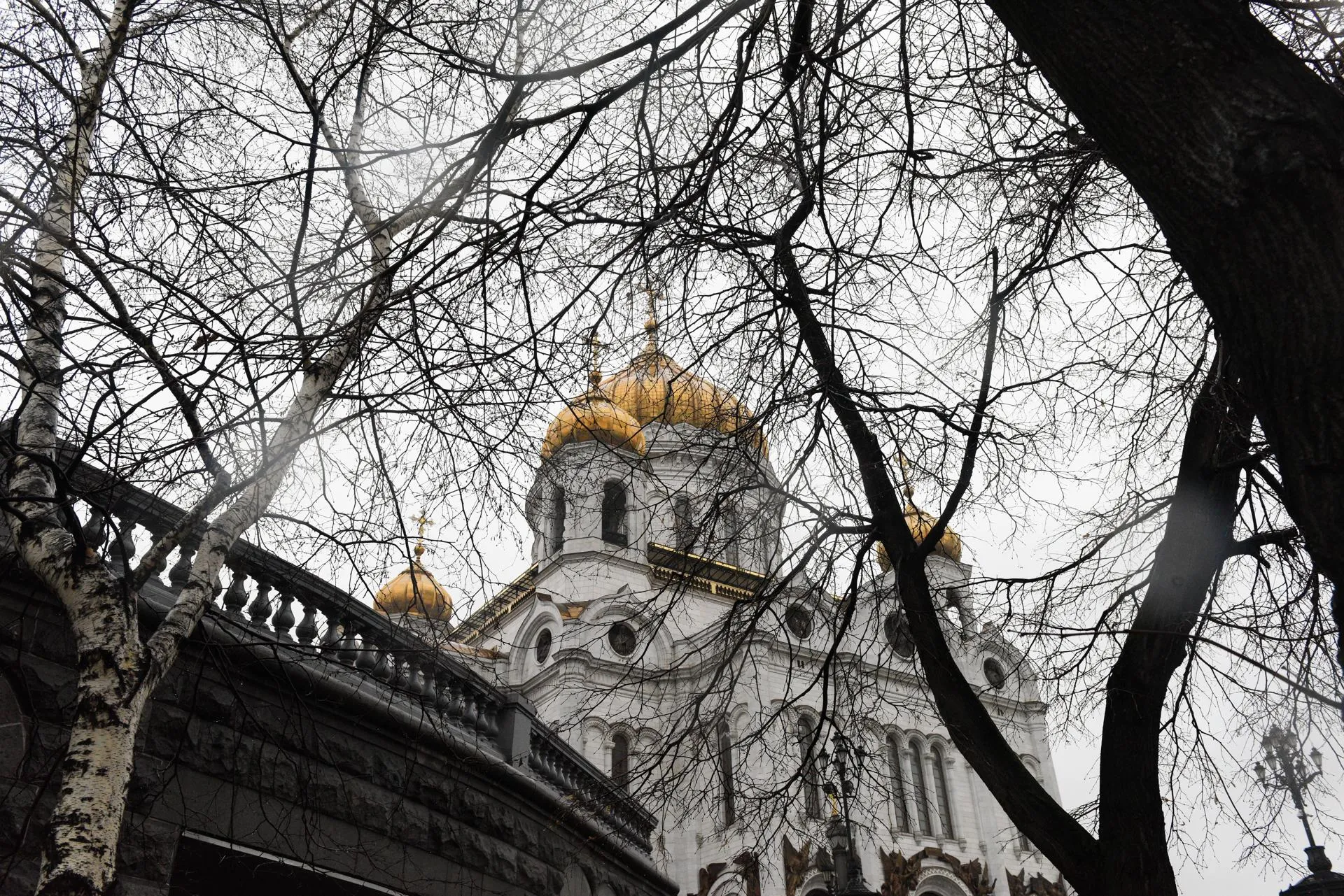 Пелагия Тихонова