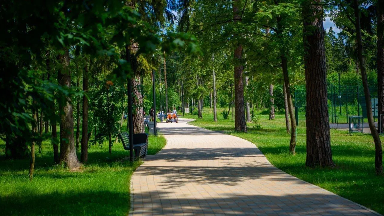 Подмосковные парки в 2021 году стали посещать чаще