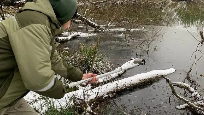 Ученые выявили низкое содержание микропластика в водоемах Подмосковья