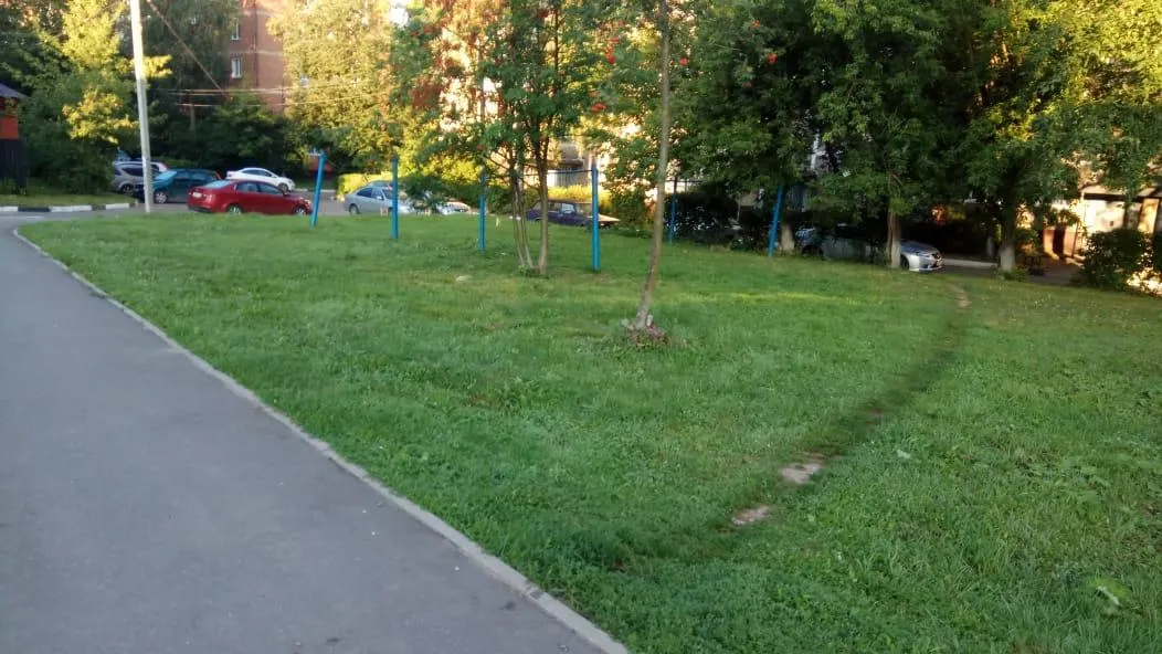 Траву покосили на проспекте 50‑летия Октября в Подольске