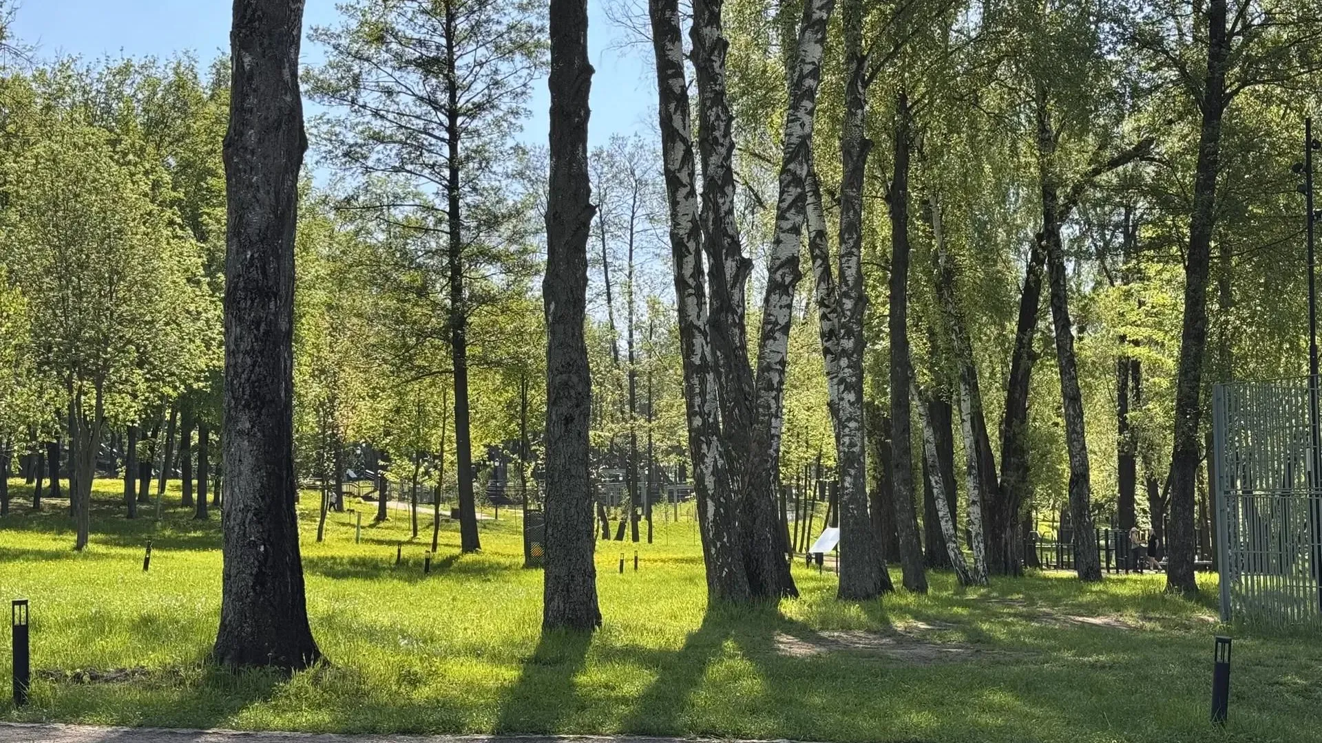 В Раменском парке 3–7 июня пройдут эстафеты и кинопоказ