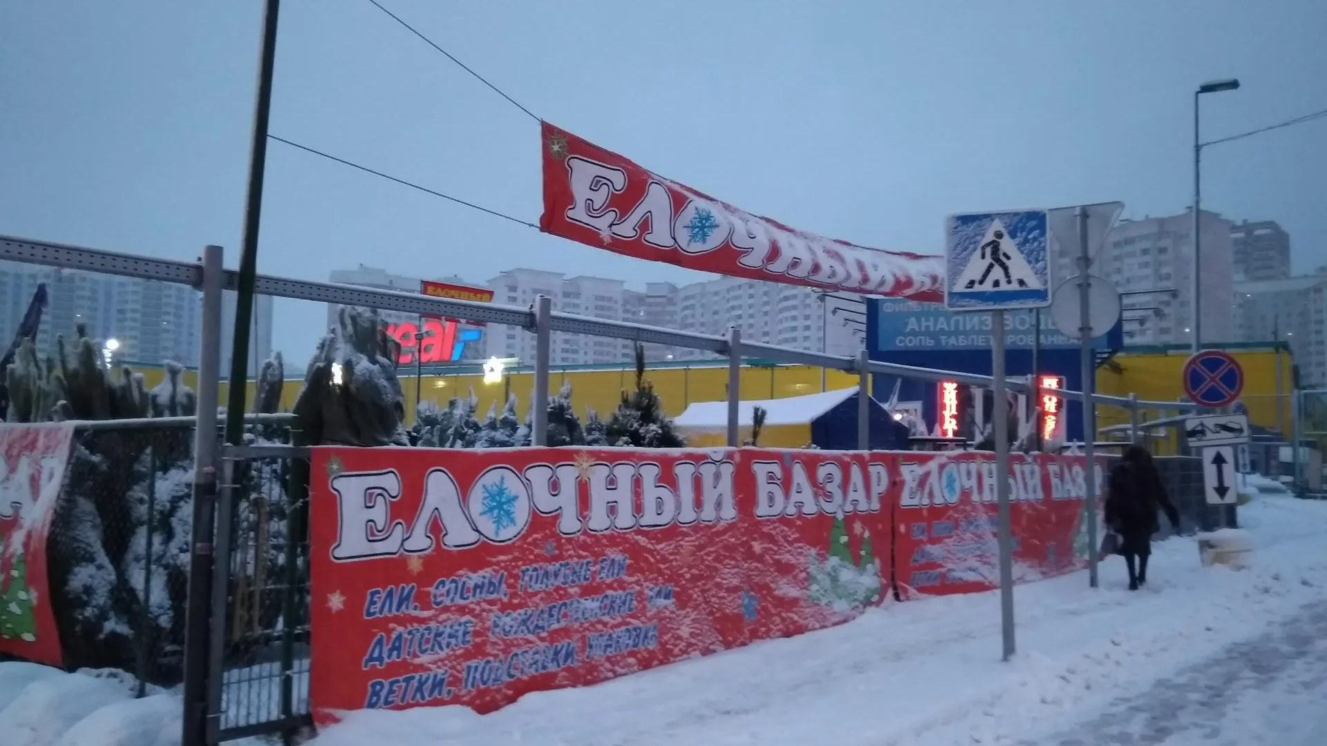 В Котельниках открылся первый елочный базар