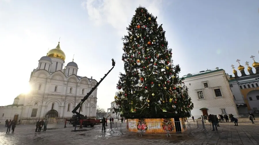 Главную елку России доставят в Кремль в полночь 12 декабря