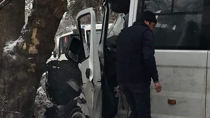 В Люберцах маршрутка врезалась в дерево