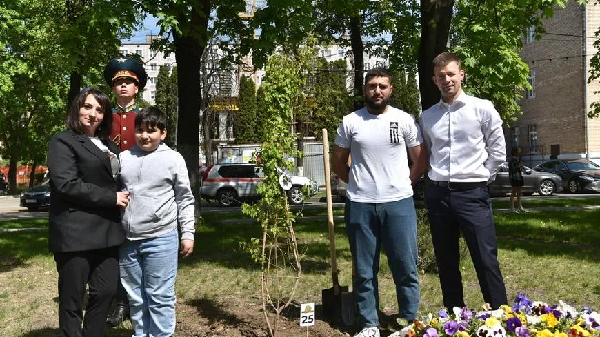 В Балашихе высадили клены в честь героев СВО
