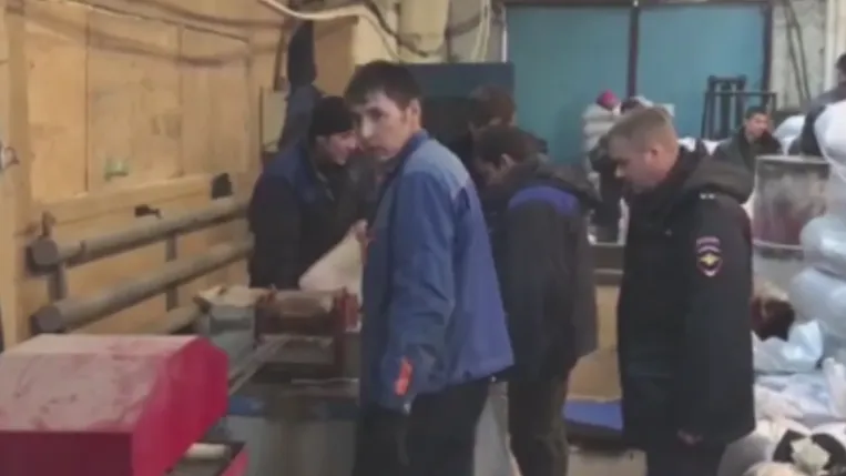 В цехе по переработке пластика в Балашихе обнаружили 40 нелегалов