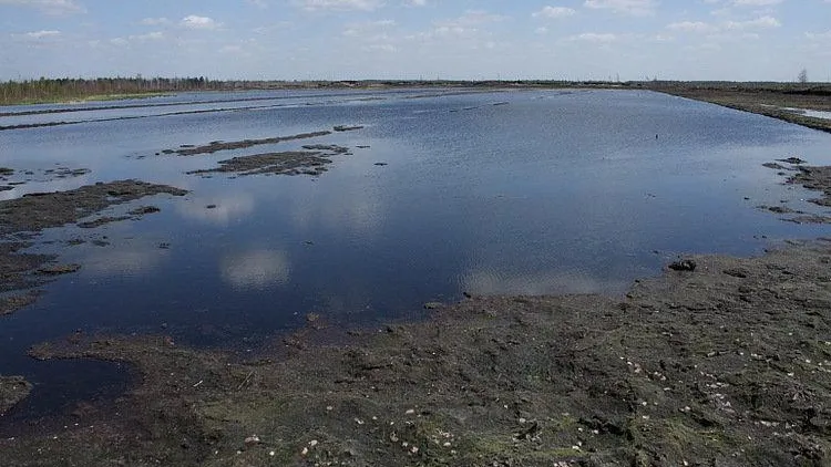 Противопожарное состояние торфяников проверили в лесничестве Луховиц