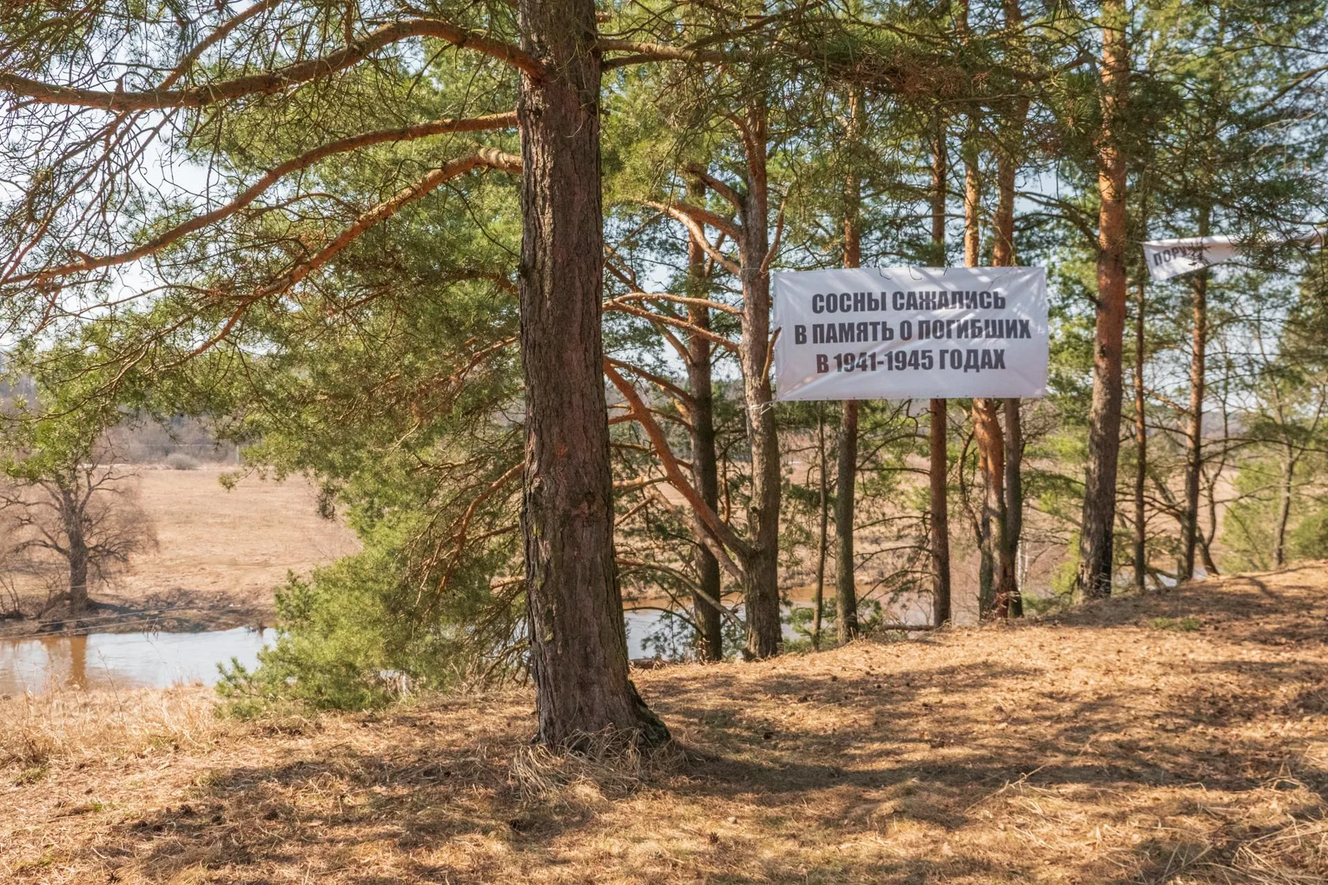 пресс-служба Общественной палаты Московской области