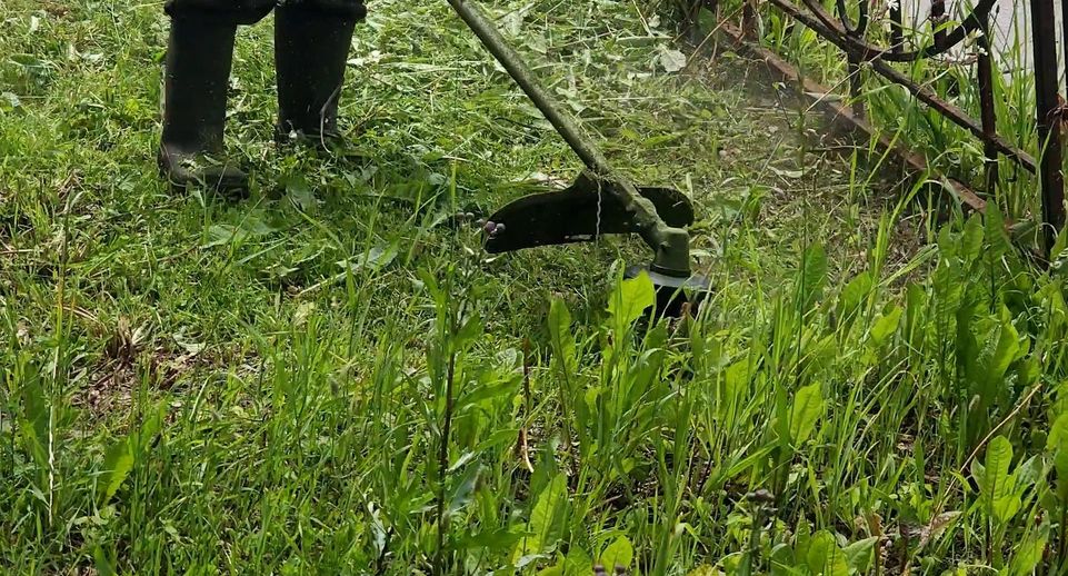 В Клину бригады коммунальной организации ежедневно окашивают траву на общественных территориях