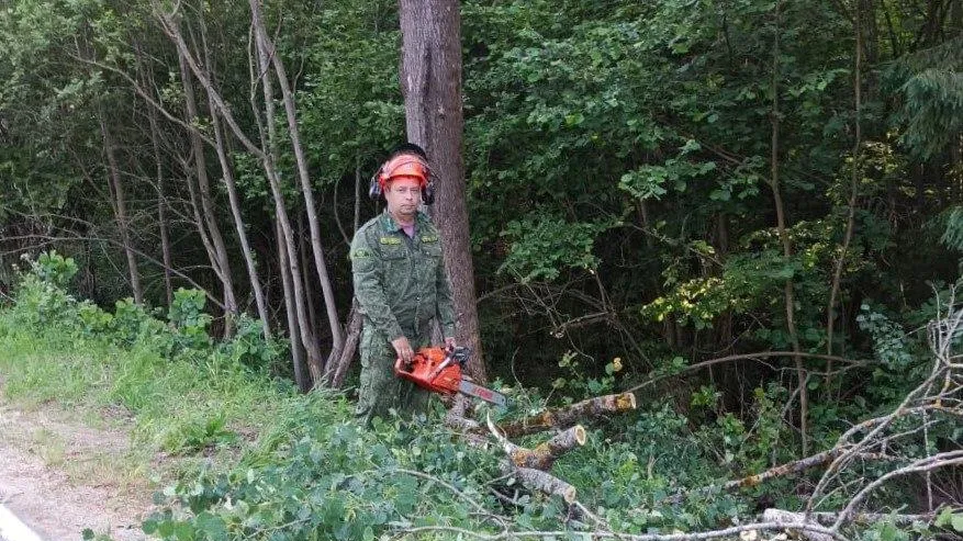 Талдомские лесничие устранили препятствие на дороге