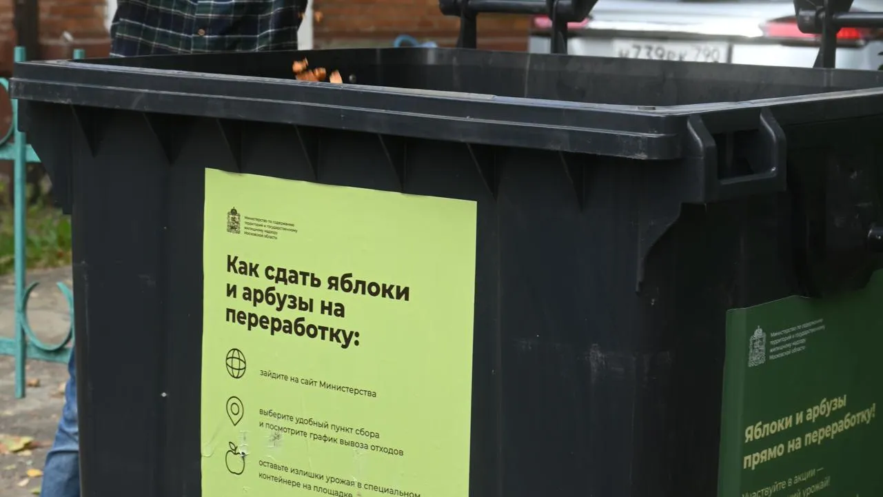 В Ленинском округе с 7 сентября соберут излишки яблок и бахчевых