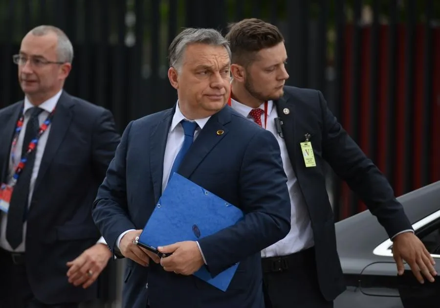 Алексей Витвицкий