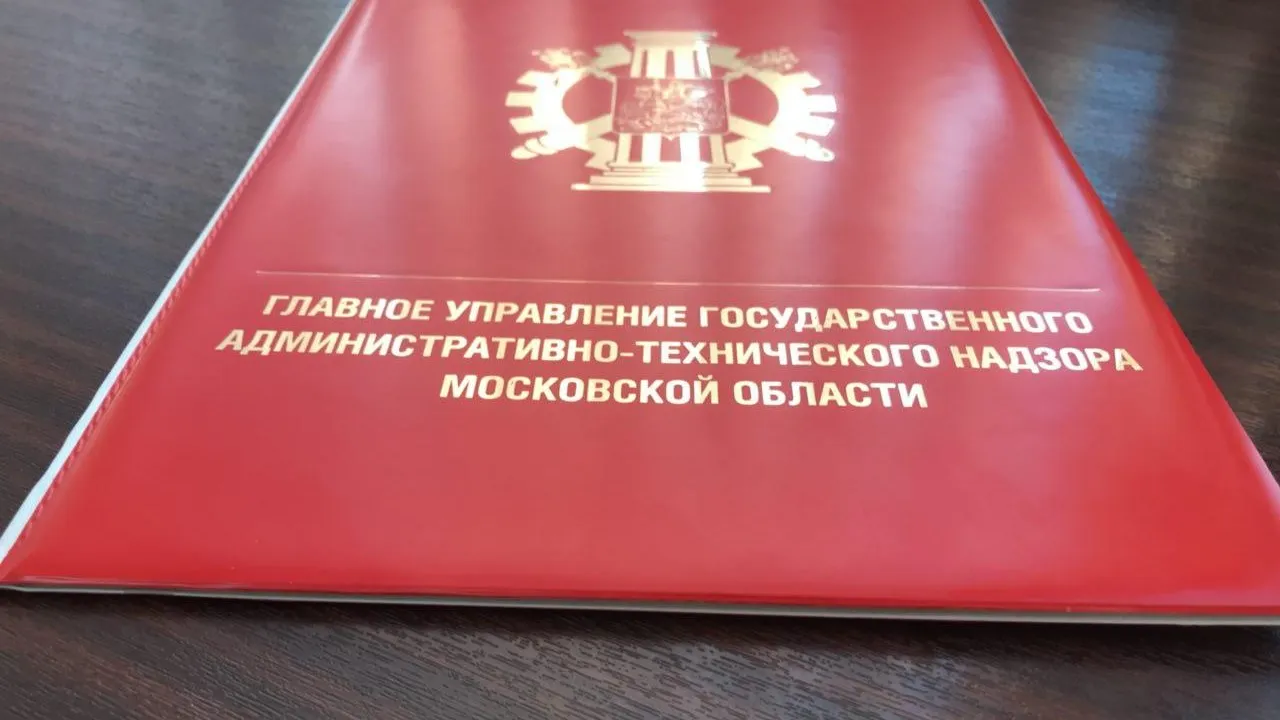 Более 3,2 тыс нарушений чистоты выявили в Подмосковье за неделю