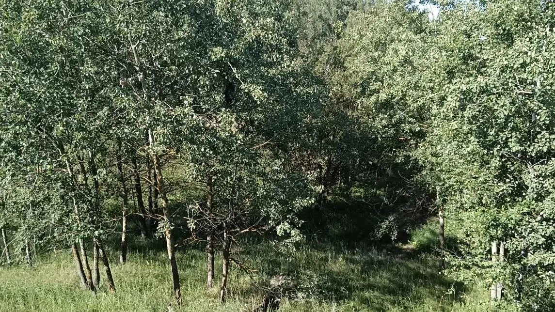 В Подмосковье на торги выставят участок под размещение объекта дорожного отдыха