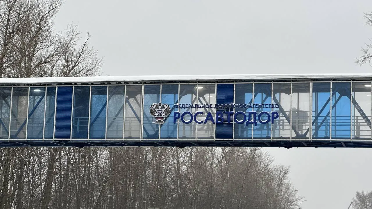 В Подмосковье открыли 4 надземных пешеходных перехода на федеральных автодорогах