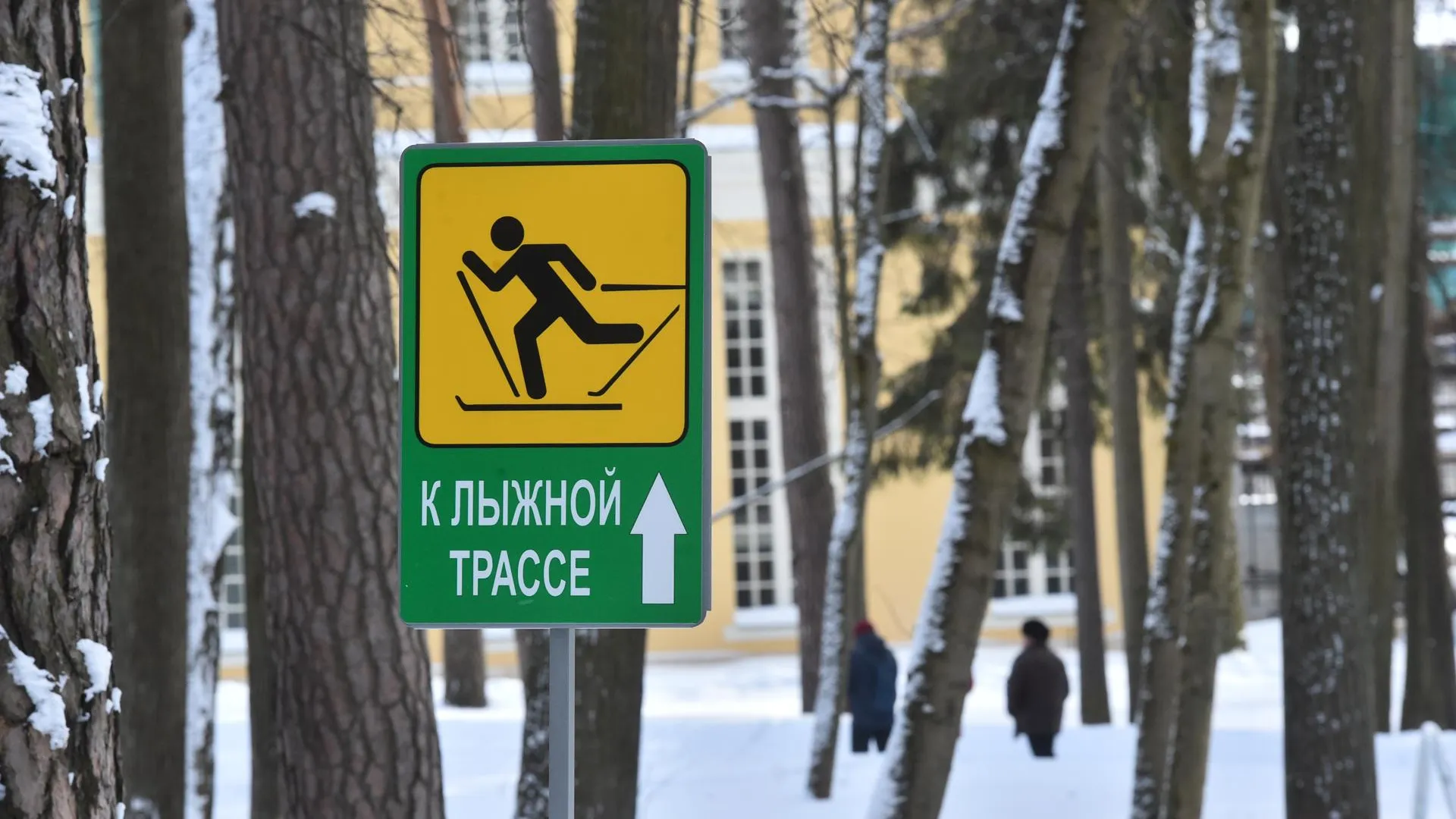 Более 50 лыжных трасс будут работать в парках и лесопарках Подмосковья этой зимой