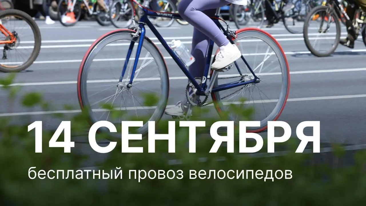 ЦППК 14 сентября сделает провоз велосипедов бесплатным из-за осеннего велофестиваля