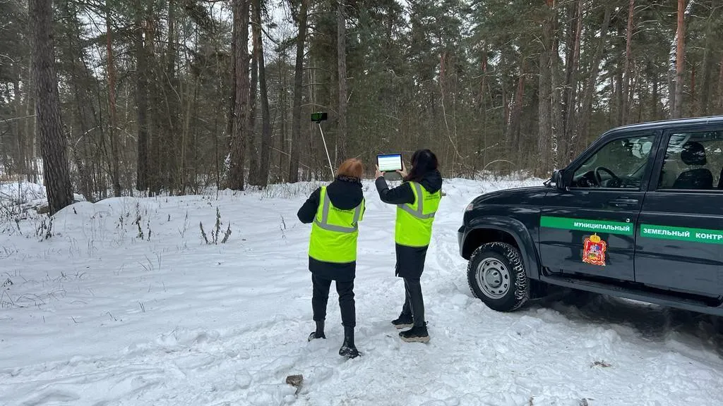 В Подмосковье обследовали более 300 тыс участков на предмет нарушения земельного закона