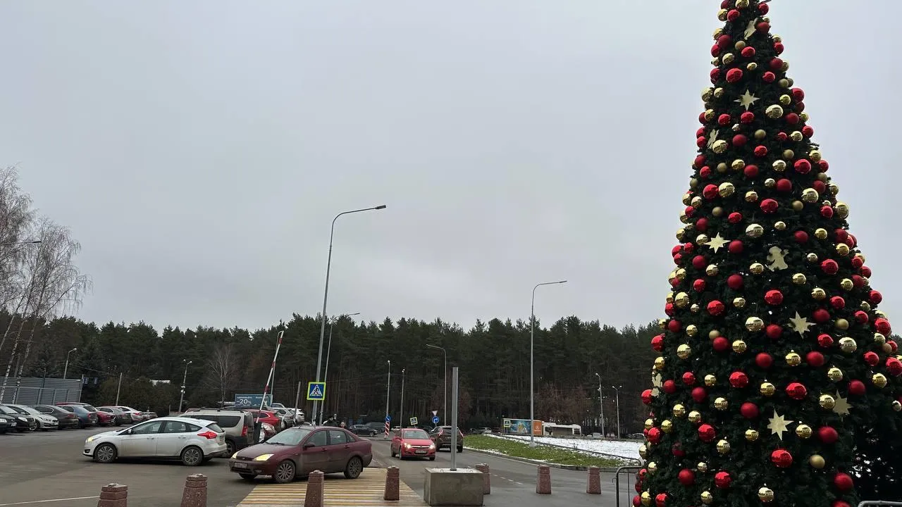 В администрации Домодедово рассказали о праздничном оформлении города и новых фотозонах
