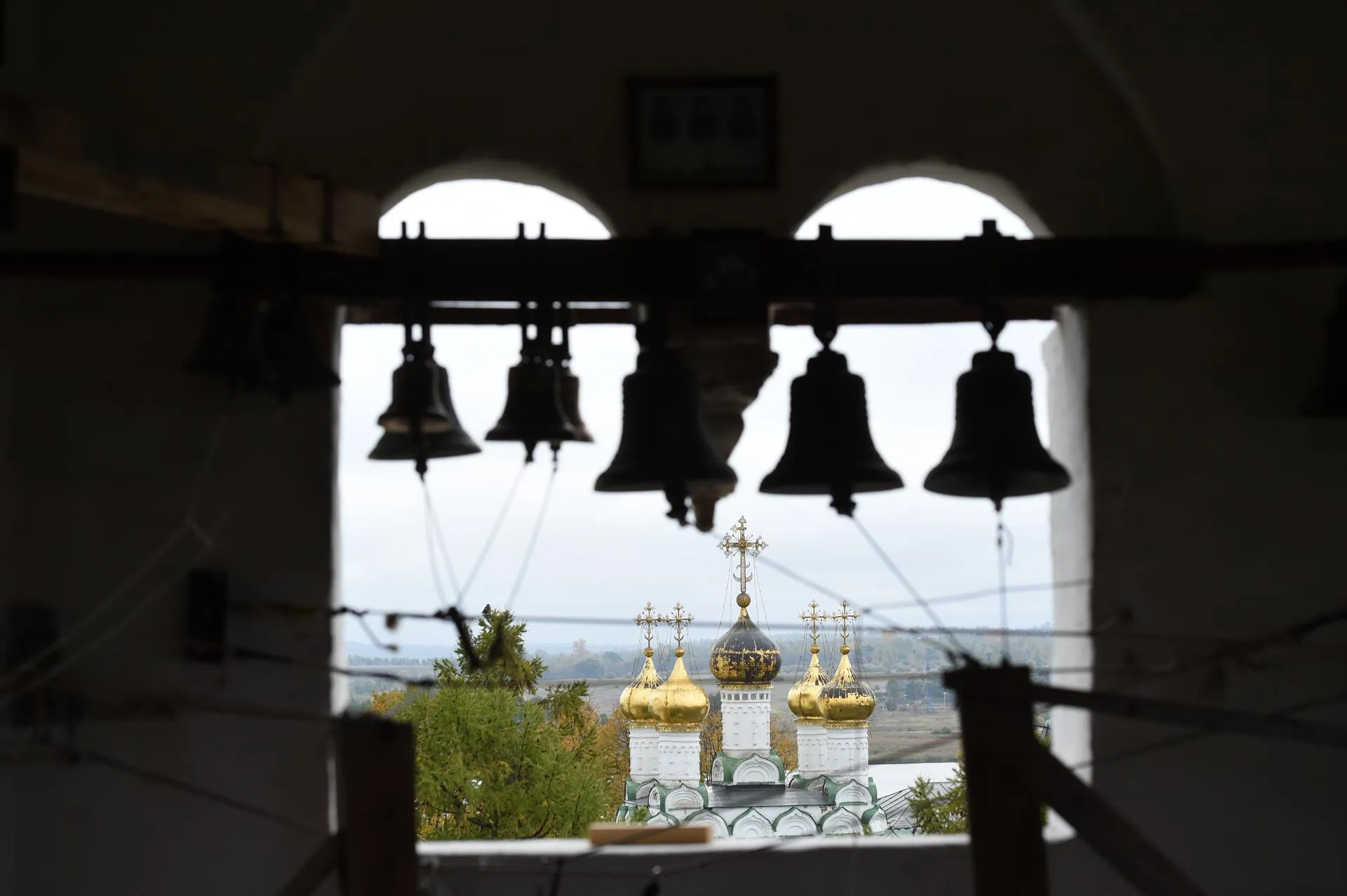 Анастасия Осипова