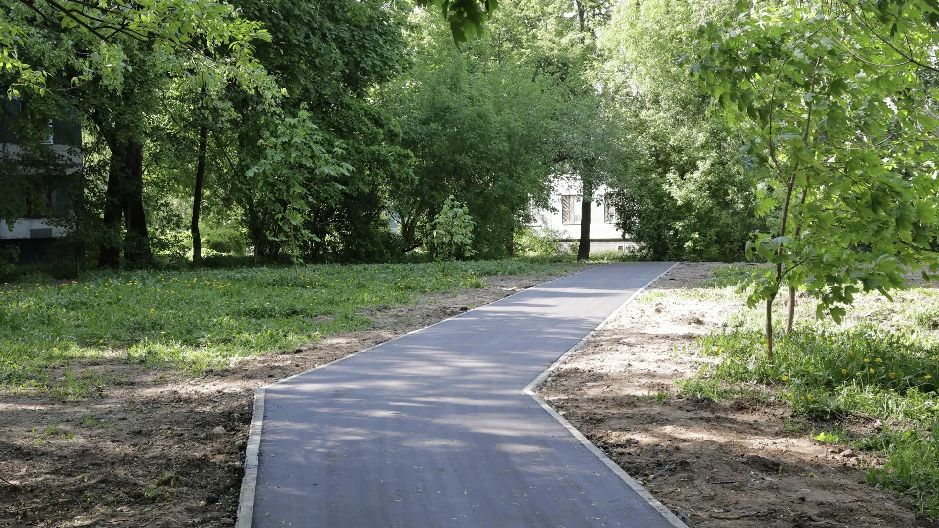 В Королеве завершили благоустройство народных троп в 2026 году