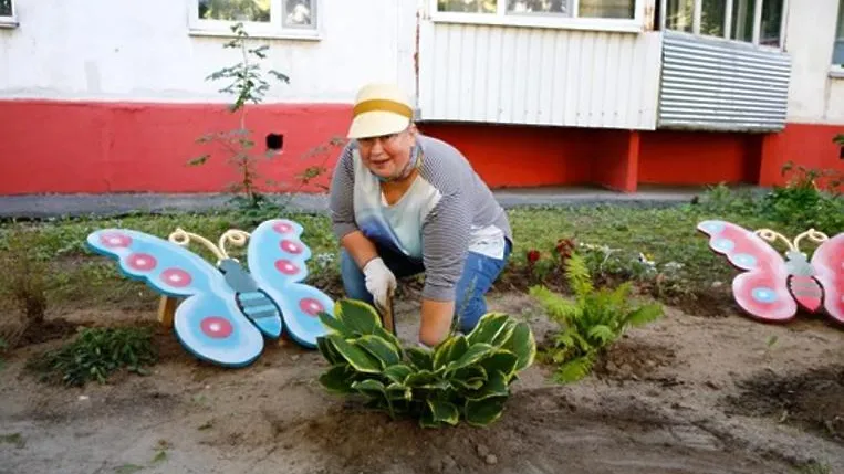 УК Подольска проведет конкурс среди жителей на самую красивую клумбу