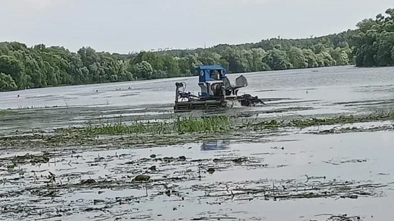 В двух округах Подмосковья продолжается расчистка рек