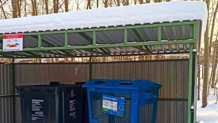 Каширский регоператор обновил 95 контейнеров для отходов в Подмосковье за неделю