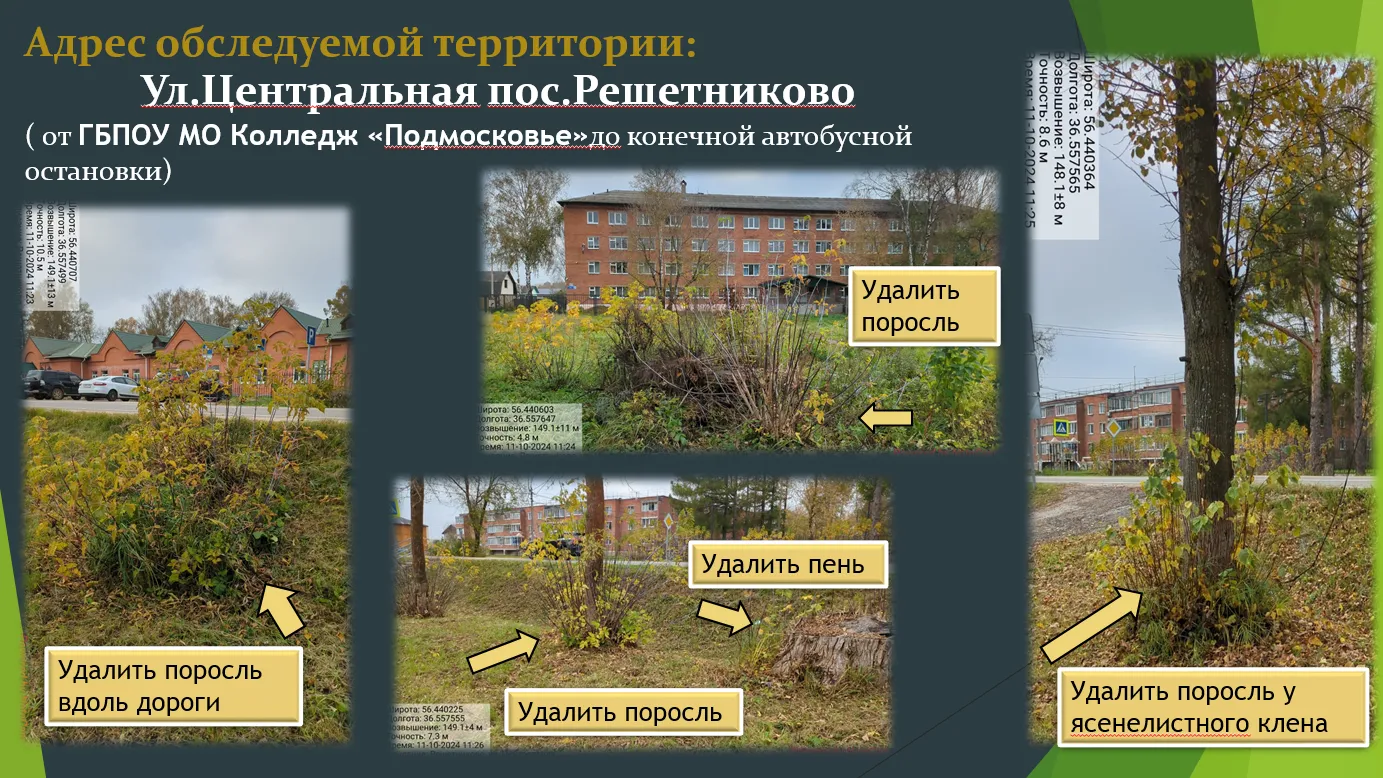В Клину идет паспортизация деревьев