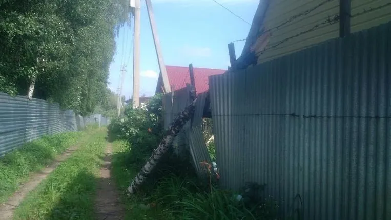 Упавшее на забор дерево в СНТ Люберец уберут в четверг