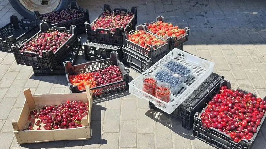 Несколько незаконных торговых точек ликвидировали в Красногорске