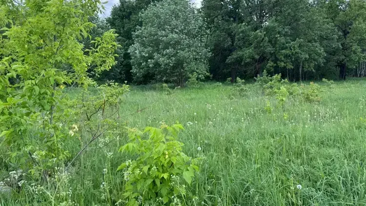 Участок на торгах
