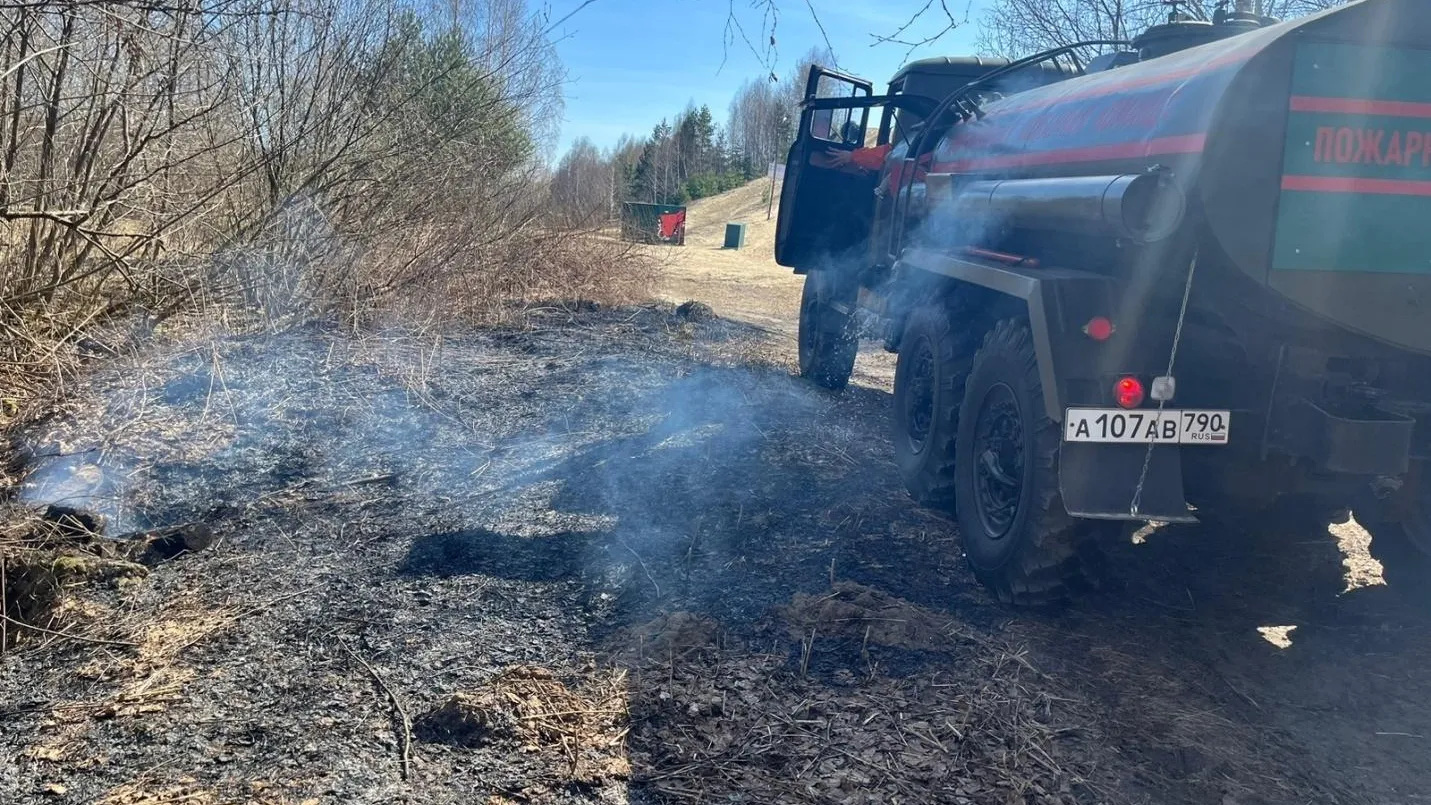 В Черноголовке усилили патрулирование лесов с 20 апреля