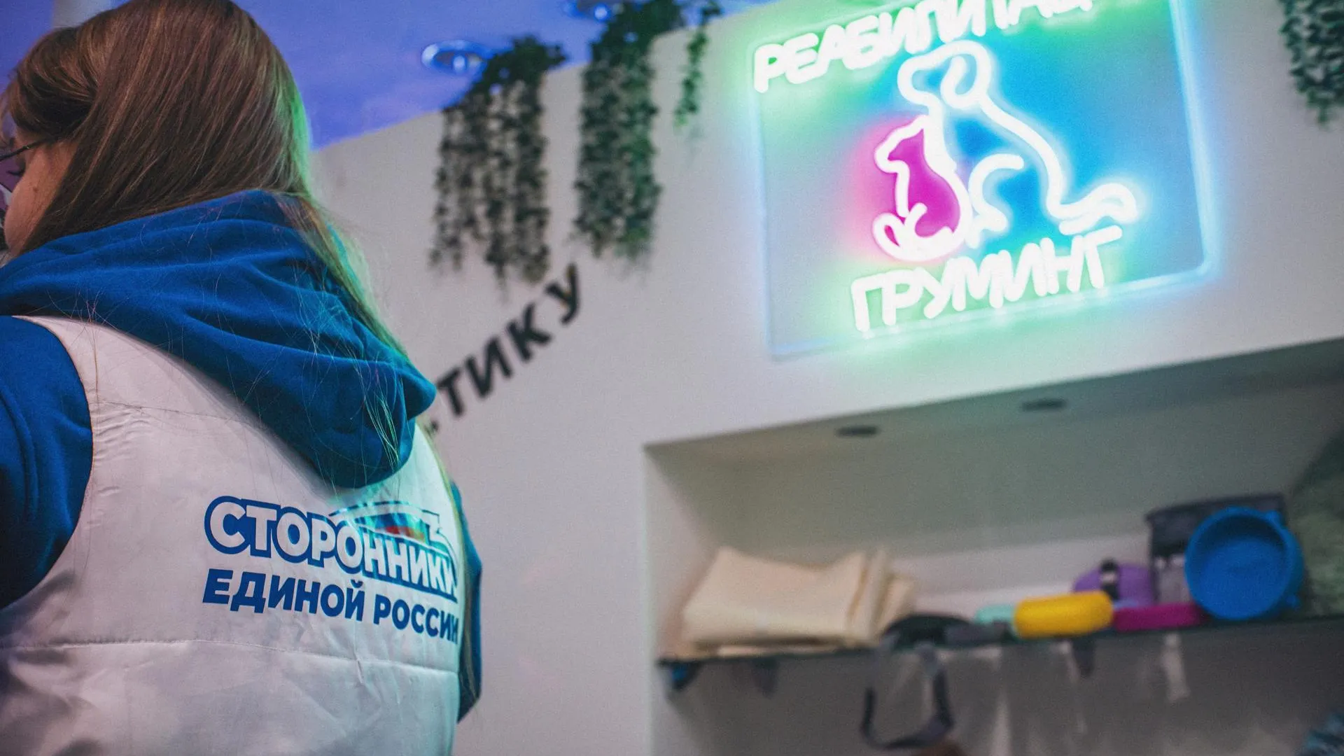 Депутат передал помощь центру реабилитации животных «РеЛапки» в Люберцах