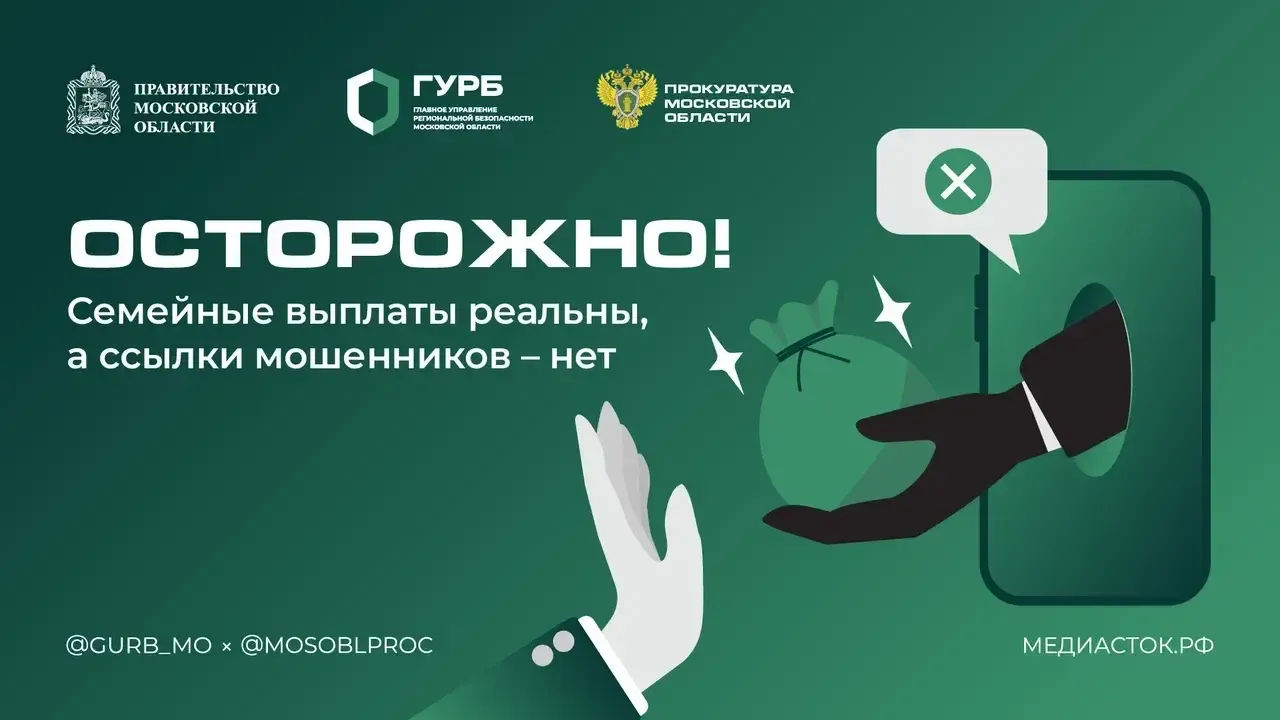 В Подмосковье предупредили о мошенничестве с выплатами семьям