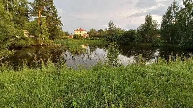 В Долгопрудном намерены изъять из незаконного владения земли у собственника