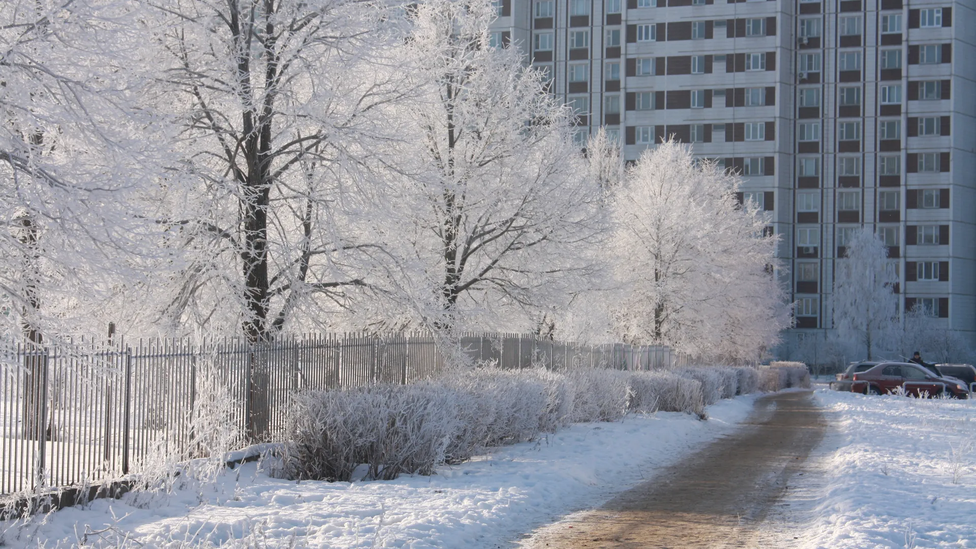 «Желтый» уровень объявили в Московском регионе с 12 февраля из-за изморози