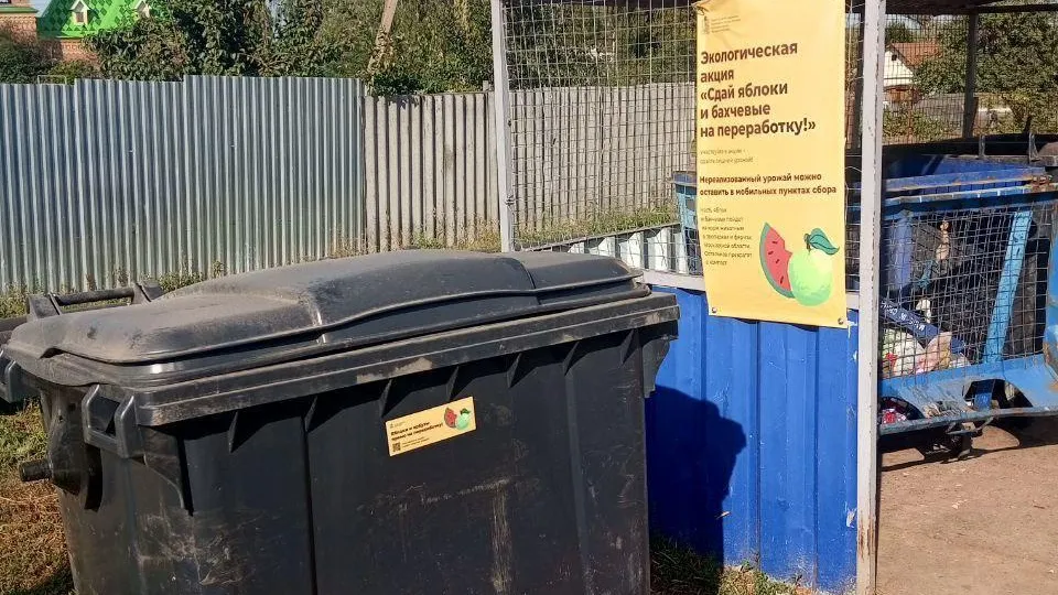 В Зарайске стартовала акция по сбору избыточного урожая яблок и бахчевых культур