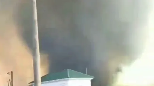 Опубликованы кадры огненного смерча в Приморье