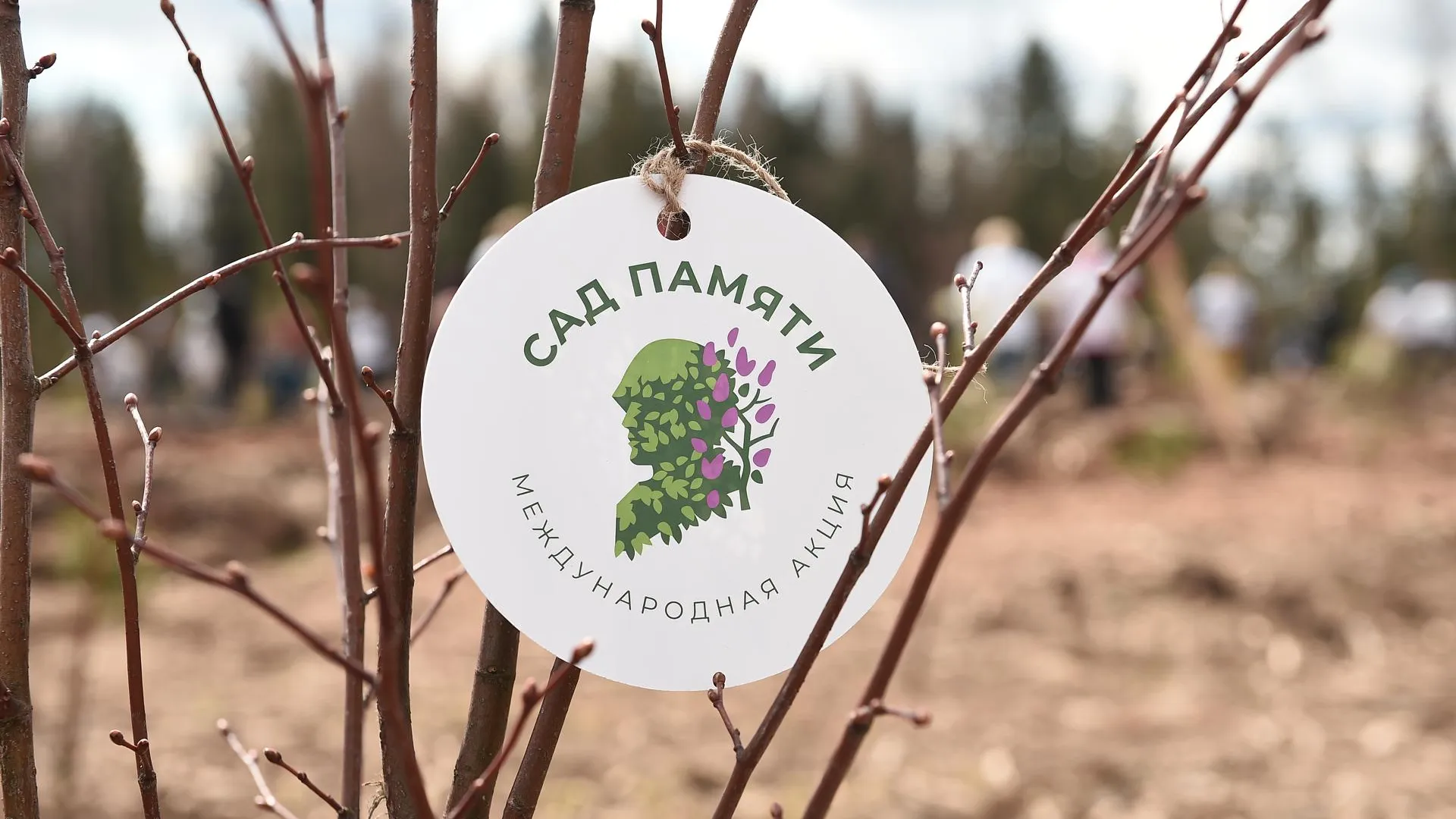 10‑миллионное дерево высадили в Подмосковье в рамках акции «Сад Памяти»