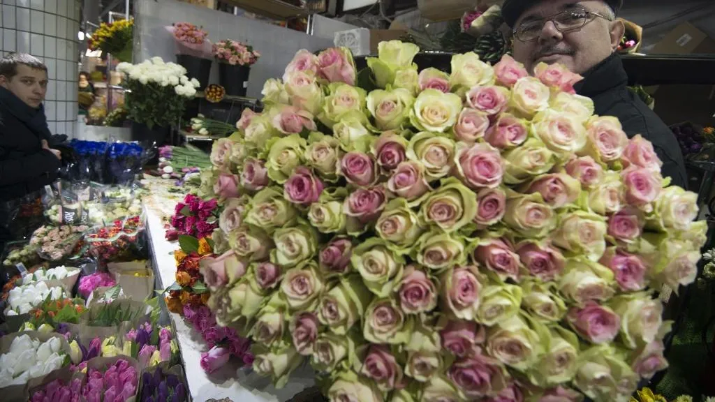 Импортозамещение цветов к празднику 8 Марта в Подмосковье достигло 70%
