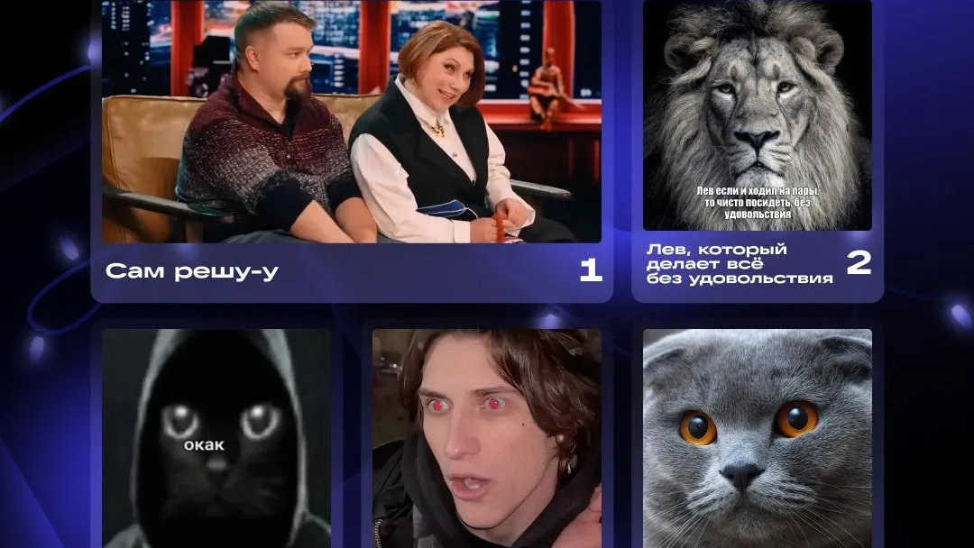 Пользователи «ВКонтакте» выбрали лучшие и надоевшие мемы 2025 года